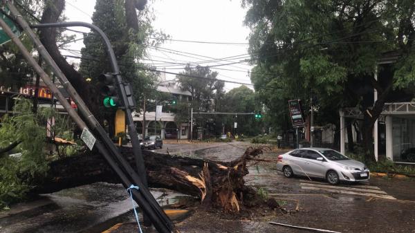 Temporal destructivo en el AMBA: Inundaciones, ráfagas de 100 km/h y miles de usuarios sin luz
