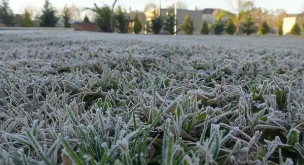 Alerta meteorológica: Ingresa un frente frío con riesgo de heladas en la región