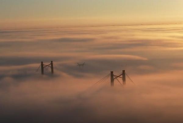Advertencia violeta: Histórico banco de niebla paraliza rutas y aeropuertos en gran parte del territorio provincial