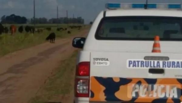 Sangriento enfrentamiento en la Ruta 32: Tiroteo, un policía herido, un delincuente grave y un patrullero rural robado