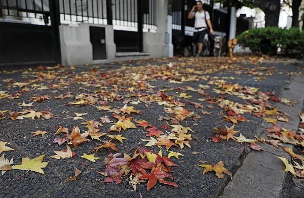 Tendencia climática: La provincia de Buenos Aires inicia junio con ambiente gris, frío y sin lluvias copiosas