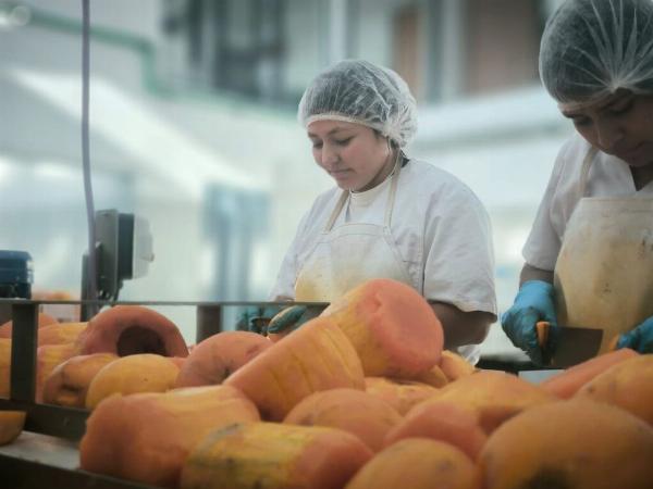 La UNLP y la Provincia avanzan en un acuerdo para producir alimentos sociales