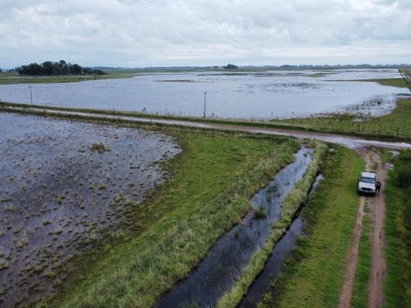 Alerta meteorológica para Rojas, Pergamino y la región: prevén "El Niño" de intensidad histórica con lluvias hasta un 90% superiores al promedio