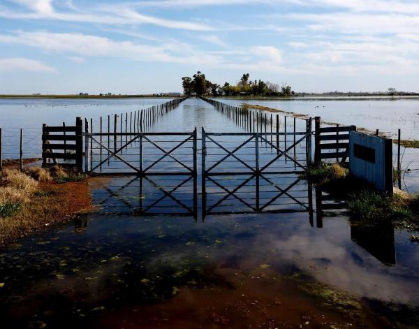 Guía del Ministerio de Ambiente bonaerense: herramientas para municipios ante la llegada de El Niño