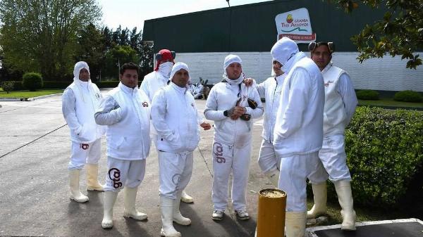 Granja Tres Arroyos confirmó 1.250 despidos tras fracasar la conciliación obligatoria y se agrava la crisis en el sector avícola