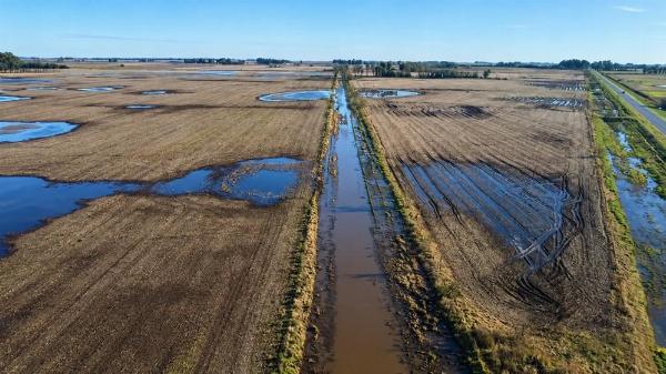 Excesos hídricos amenazan la cosecha en el sudeste bonaerense con pérdidas estimadas en hasta novecientas mil toneladas de granos
