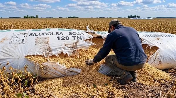 Media sanción en Diputados para el proyecto contra el vandalismo rural: CARBAP celebró la iniciativa